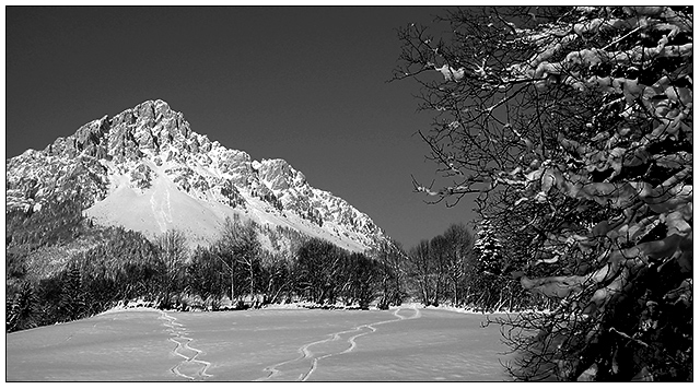 Mountain Tracks