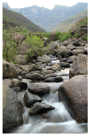 Mountain Stream