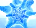 Shell Negative