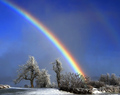 Rainbow's End