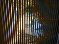 Blinds