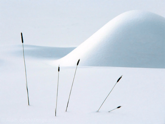 Snow, Lights and Shadows
