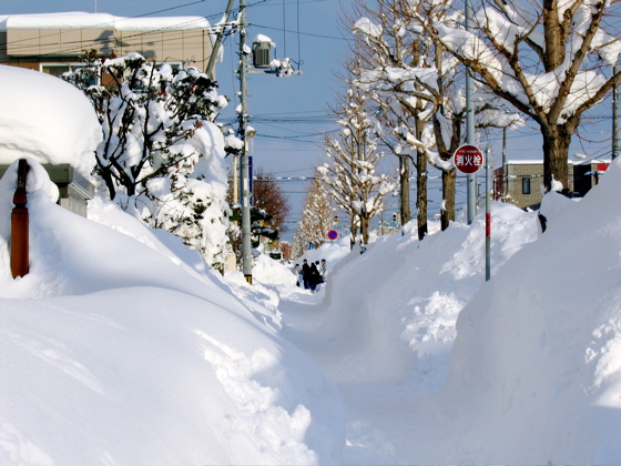 Sapporo Sidewalk