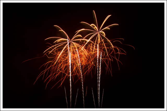 Palm Fireworks