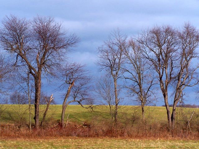 Fields of Green & Skies of Blue