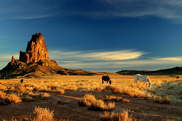 Navajo Land