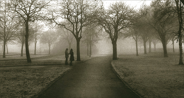 "The park is filled with night and fog...."