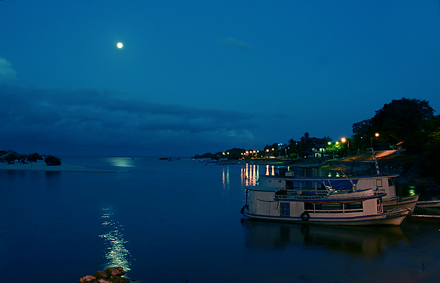 Moonlit Harbor