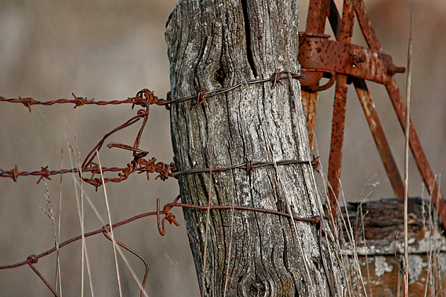 Forgotten Fence