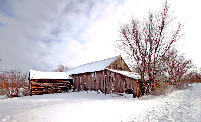 Rustic Charm