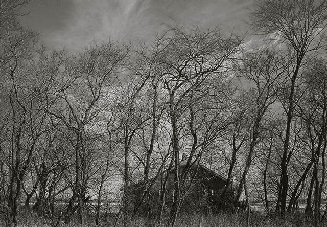 neglected house