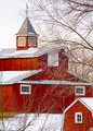 Sun Kissed Barn