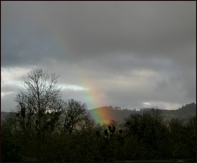  A Rainbow and Mistletoe