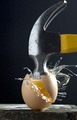 Scrambled egg
