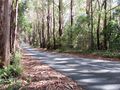Mountain Road