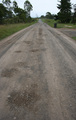 The Dirt Road