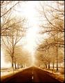 Soft winter
