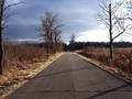 Kemil Road