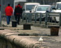 A Busy Road on the Enbankment