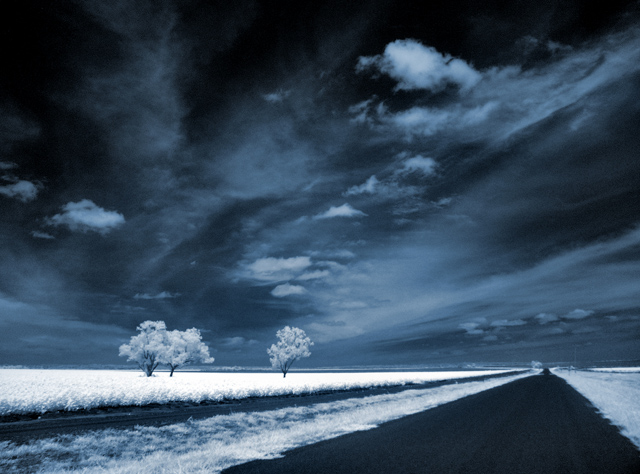 Road Through Dreams