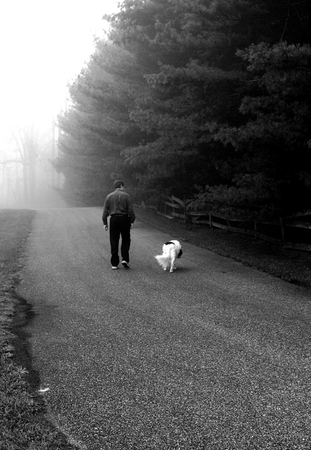 Two Old Friends Walk The Road