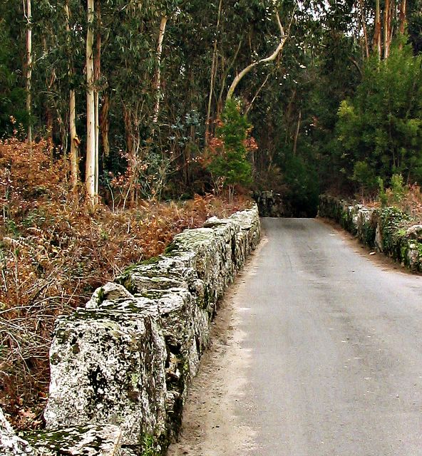 Quiet Country Road