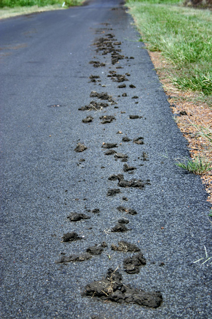 Dirty Track