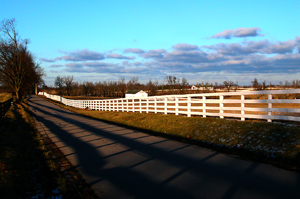 Winter Afternoon Drive