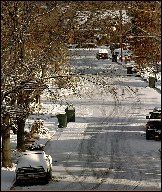 Garbage Pick-Up Day