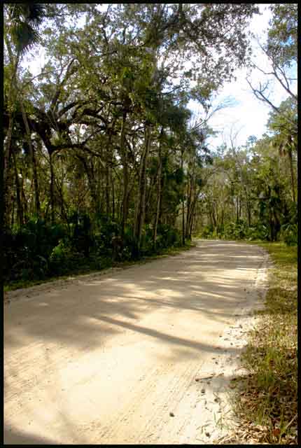 Country Road