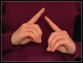 The Sign for Sign Language