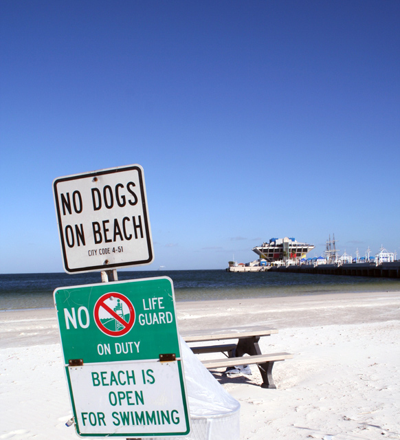 No Dogs on Beach