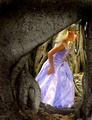 Fairy in the Forest