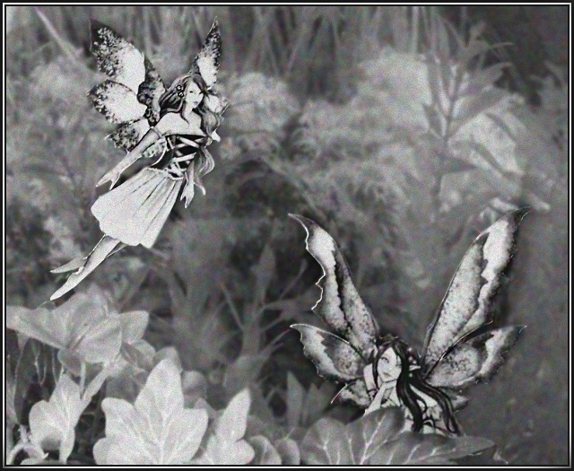 Cottingley Fairies Revisited