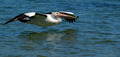 In Flight