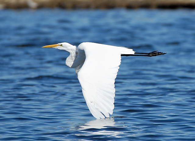 Skimming Along