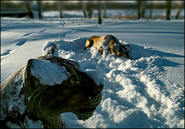 Frozen lions found in Siberia