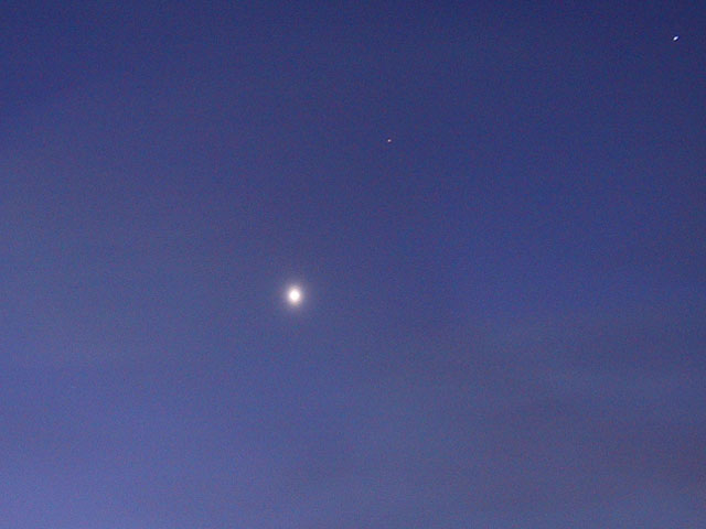 Venus in Misty Blue Dawn