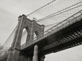A Tribute to Alfred Stieglitz