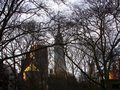 Tribute to Alfred Stieglitz             Empire Through the Trees