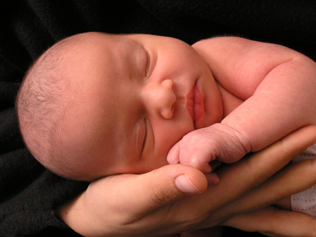Anne Geddes Tribute