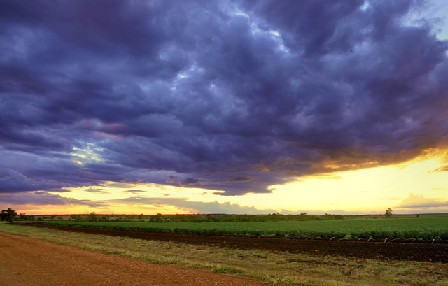 Storm in the Country (Tribute - Judi Liosatos)