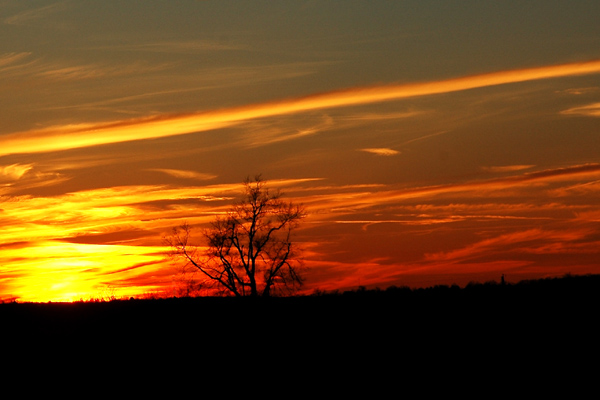 Landscape With Light Evolving to Darkness - William Neill Photography Tribute