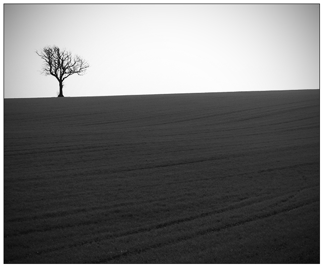 Michael Kenna - "Minimalist Vignette Landscape"