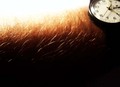 Edge Of Time