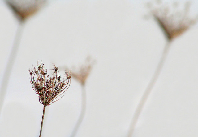 The Sharp Edges of  Winter