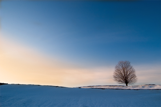 Northern Sunrise