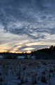 blue hour