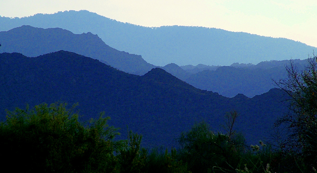 Desert Afternoon