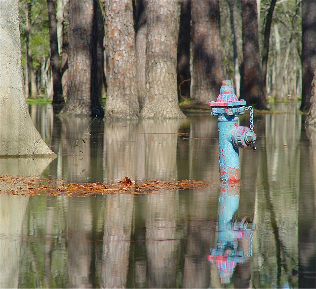 Blue Hydrant